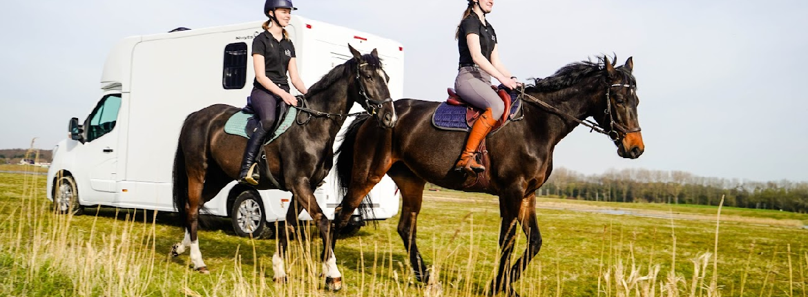 paardenwagen huren den haag
