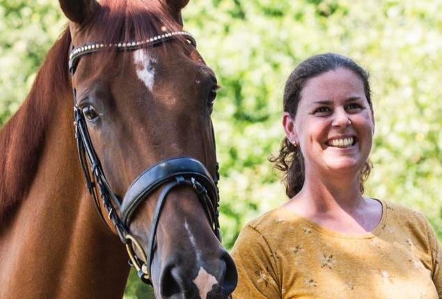 horseflow-lymfe-drainage